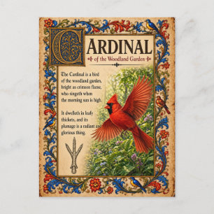 Carte Postale Cardinal, Art du Bestiaire Médiéval