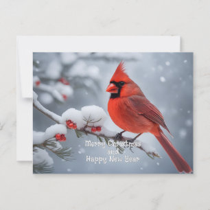 Carte Postale Cardinal de Noël