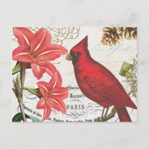 Carte Postale Cardinal d'hiver vintage