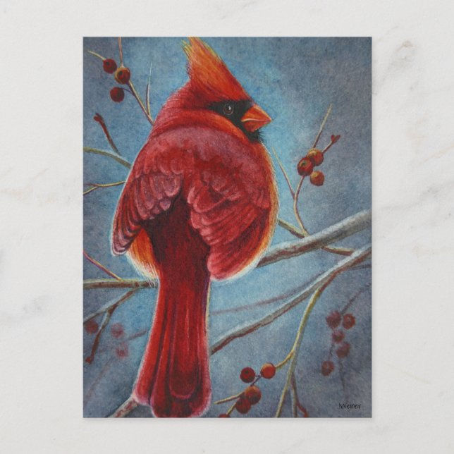Carte Postale Cardinal du Nord Baies d'oiseaux rouges Aquarelle  (Devant)