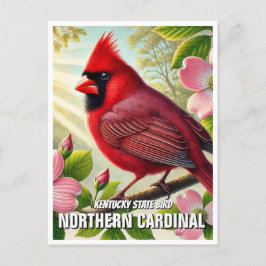 Carte Postale Cardinal du nord de l'État du Kentucky