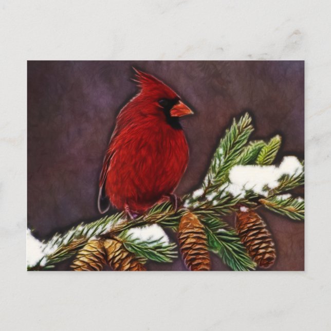 Carte Postale Cardinal et Pinecones (Devant)