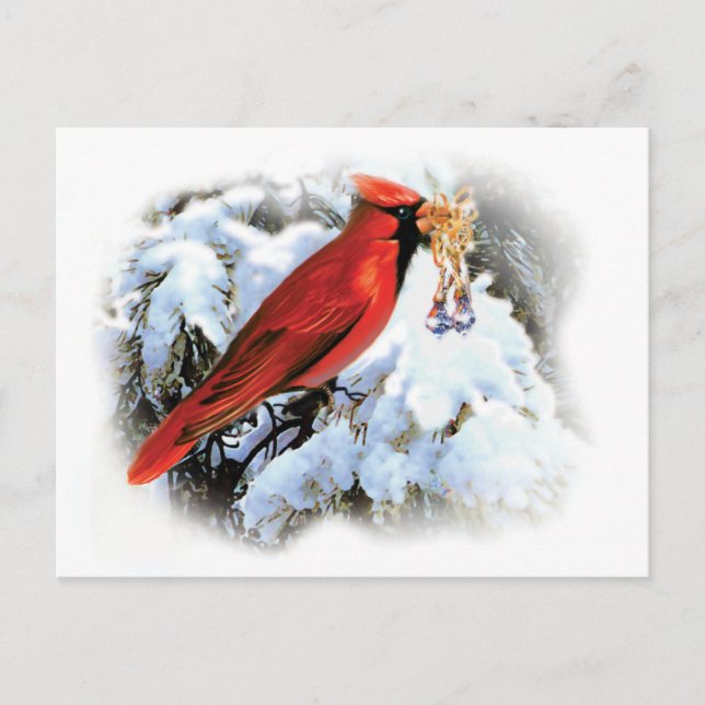Carte postale Cardinal Holiday (Devant)