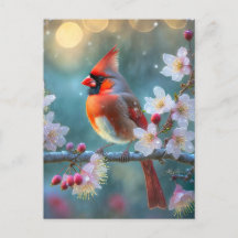 Cardinal masculin en fleurs de cerisiers au clair