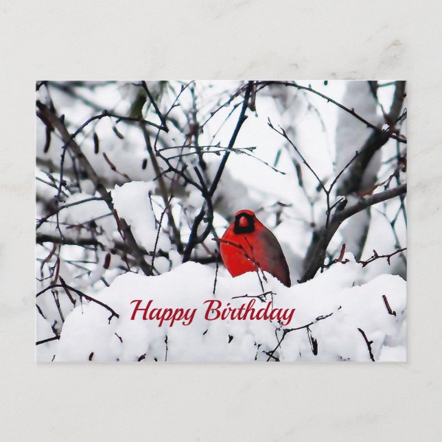Carte Postale Cardinal Oiseau Rouge Neige Photo Anniversaire (Devant)