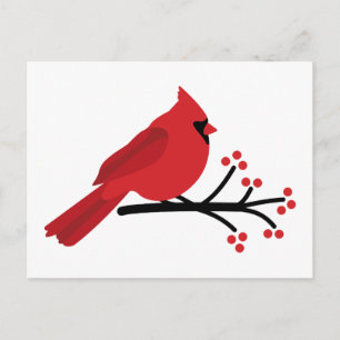 Carte Postale Cardinal rouge
