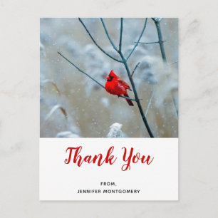 Carte Postale Cardinal Rouge en hiver Nature Photo Merci