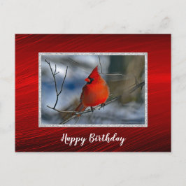 Carte Postale Cardinal Rouge Hiver Photo Anniversaire