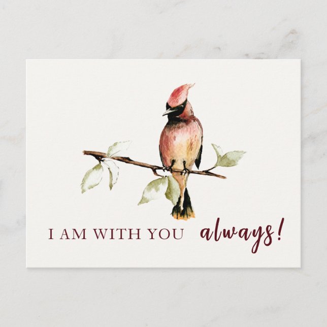 Carte Postale Cardinal Rouge Sentimental Je Suis Toujours Avec T (Devant)