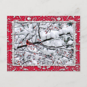 Carte Postale Cardinal Snow Tree Photo Noël