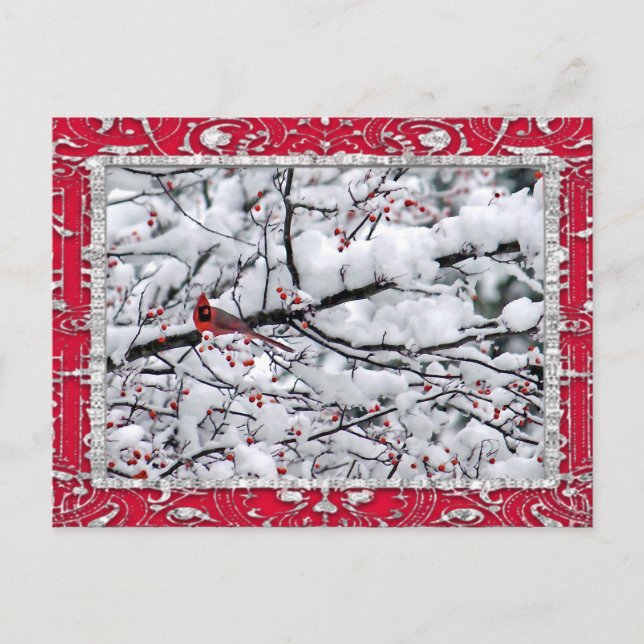 Carte Postale Cardinal Snow Tree Photo Noël (Devant)