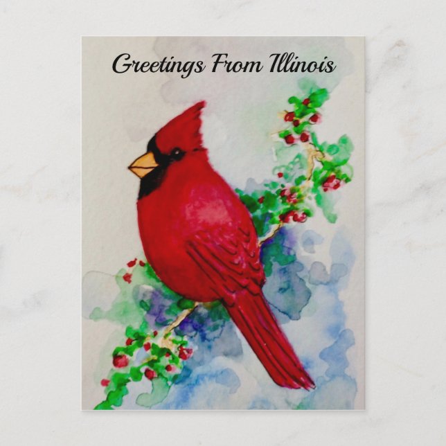 Carte postale cardinale de l'Illinois State Bird (Devant)