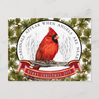Carte postale Cardinale de Noël avec message perso