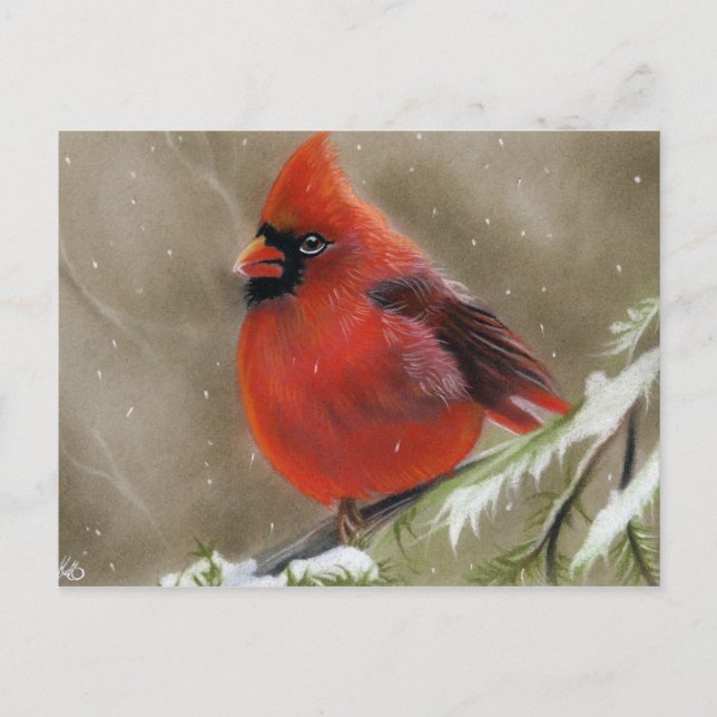 Carte postale cardinale rouge de Noël d'oiseau (Devant)