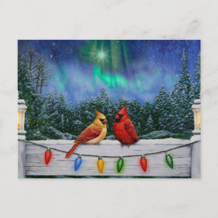 Carte Postale Cardinaux et lumières de Noël Neige d'hiver