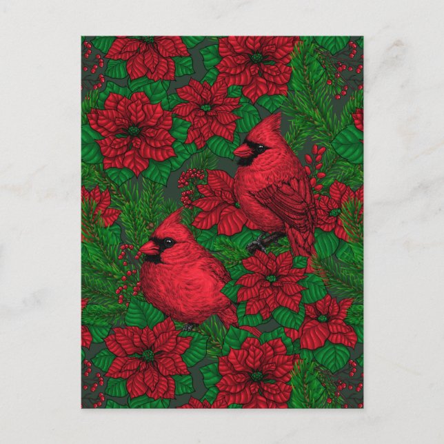 Carte Postale Cardinaux et poinsettia pour Noël (Devant)