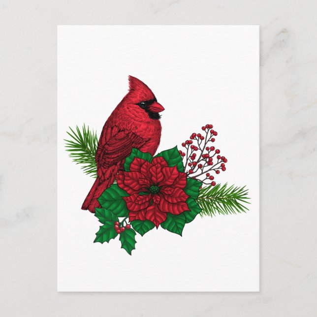 Carte Postale Cardinaux rouges sur décoration de Noël (Devant)