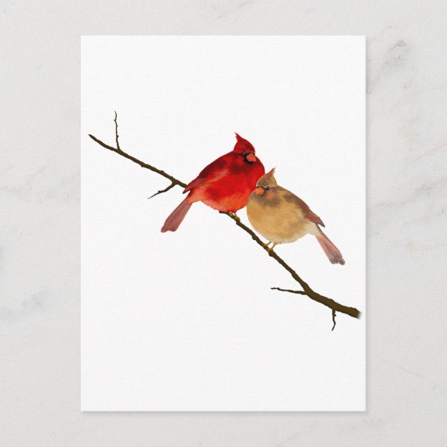 Carte Postale cardinaux sur une branche (Devant)