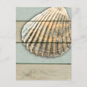 Carte Postale Cardita Shell