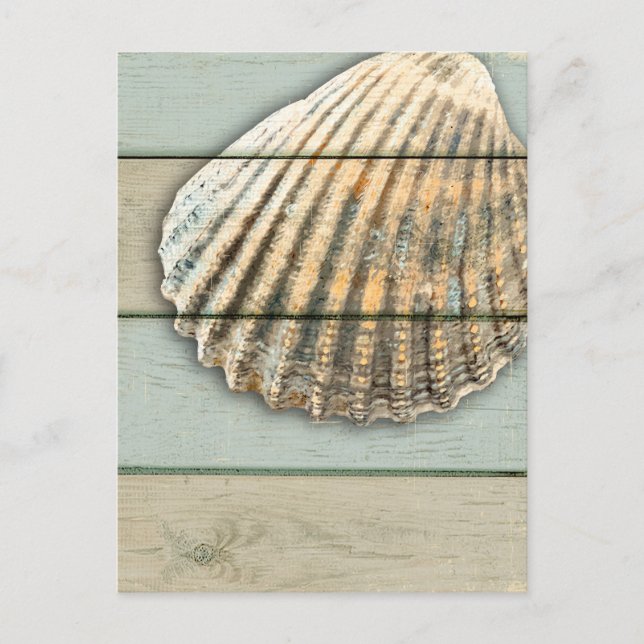 Carte Postale Cardita Shell (Devant)