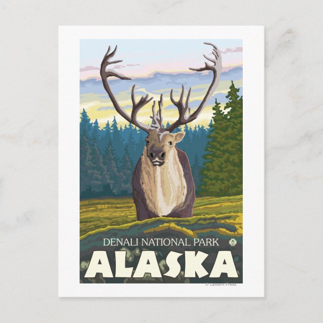Carte Postale Caribou dans la nature - Parc national de Denali, (Devant)