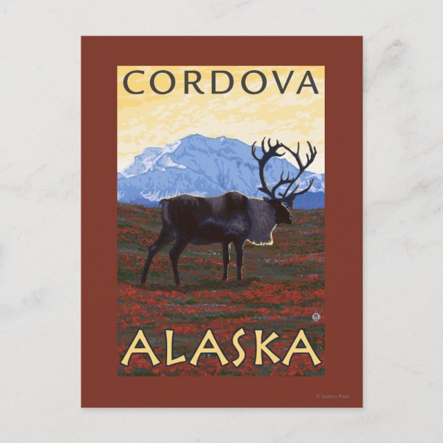 Carte Postale Caribou Scene - Cordova, Alaska (Devant)
