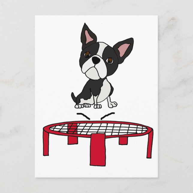 Carte Postale Caricature du mignon Boston Terrie Dog sur Trampol (Devant)