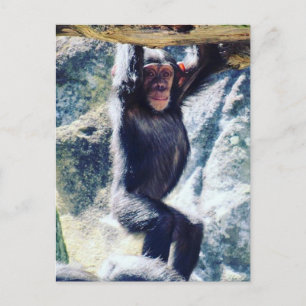 Carte Postale carillon