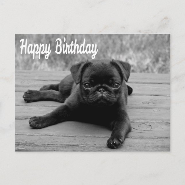 Carte postale Carlin Chien Chien Chien Chien Heure (Devant)