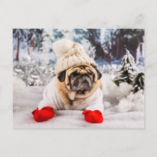 Carte Postale Carlin de Noël Portant des gants et Casquette