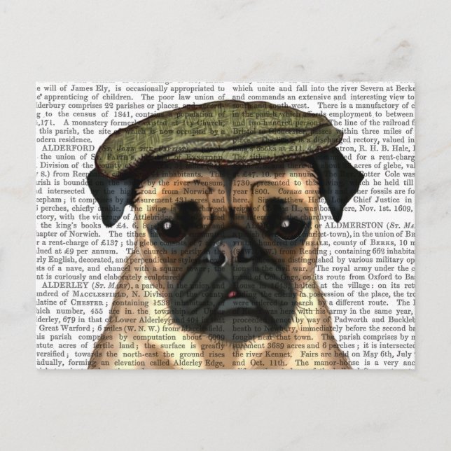 Carte Postale Carlin en Casquette plat (Devant)