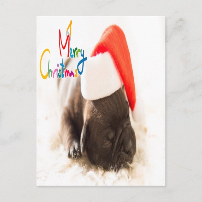 Carte Postale Carlin Noël (Devant)