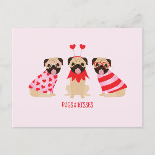 Carte Postale Carlins Et Baisers De Bons Chiens Carlins