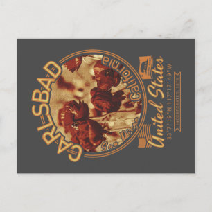 CARTE POSTALE CARLSBAD CALIFORNIA - CHAMPS DE FLEURS CARLSBAD