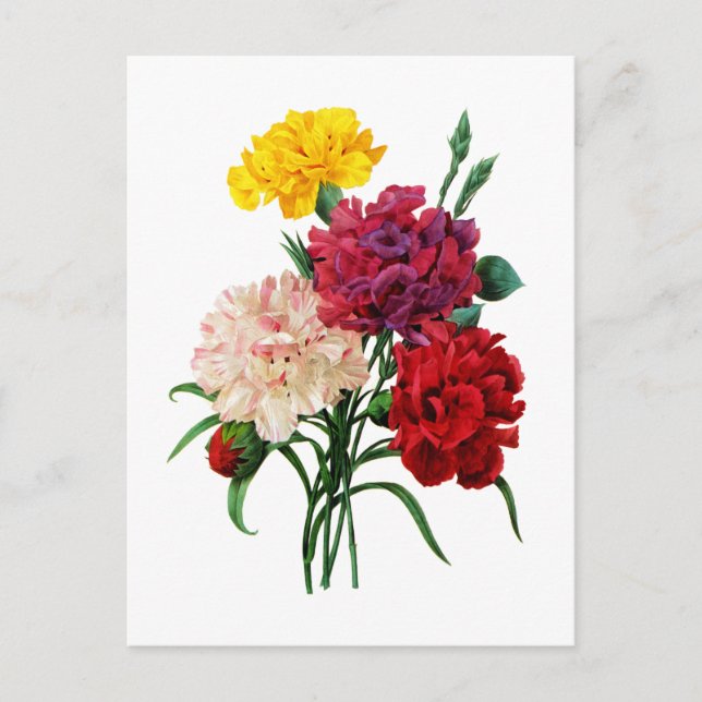 Carte Postale Carnation et Marigold Bouquet par Redoute (Devant)
