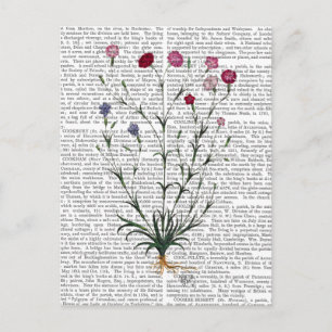 Carte Postale Carnation italienne 5
