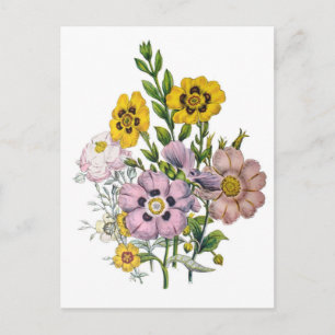 Carte Postale Carnaval des fleurs