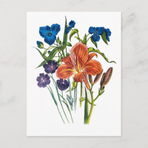 Carte Postale Carnaval des fleurs