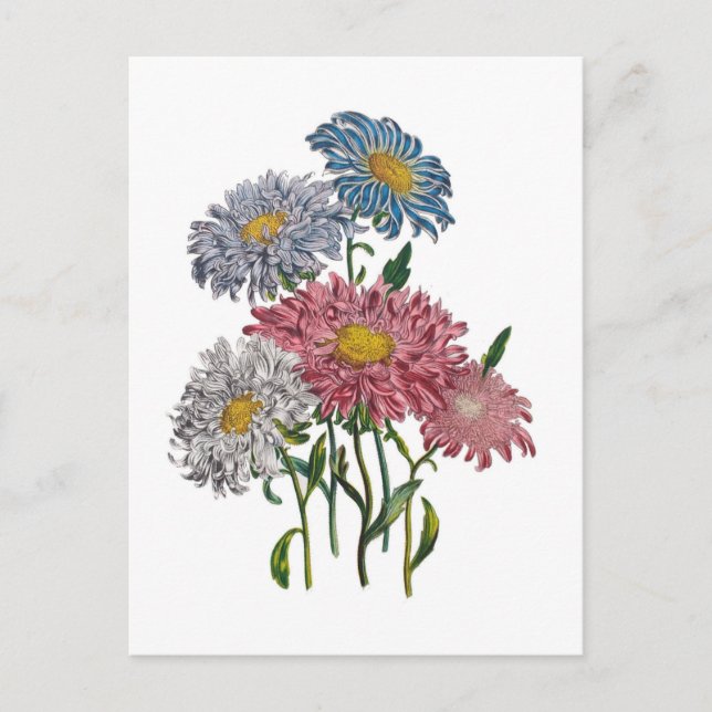 Carte Postale Carnaval des fleurs (Devant)