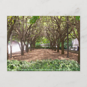 Carte Postale Carnegie Museum