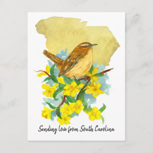 Carte Postale Carolina Troglodyte Oiseau Jessamine Fleurs Jaunes