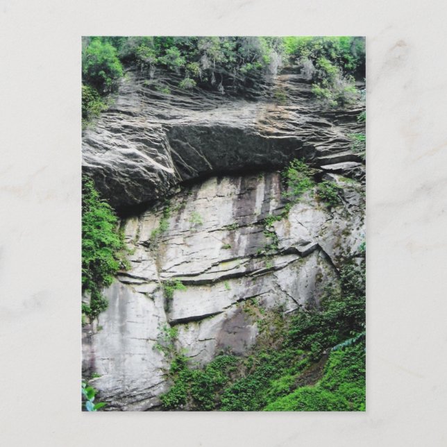 Carte Postale Caroline du Nord (Devant)