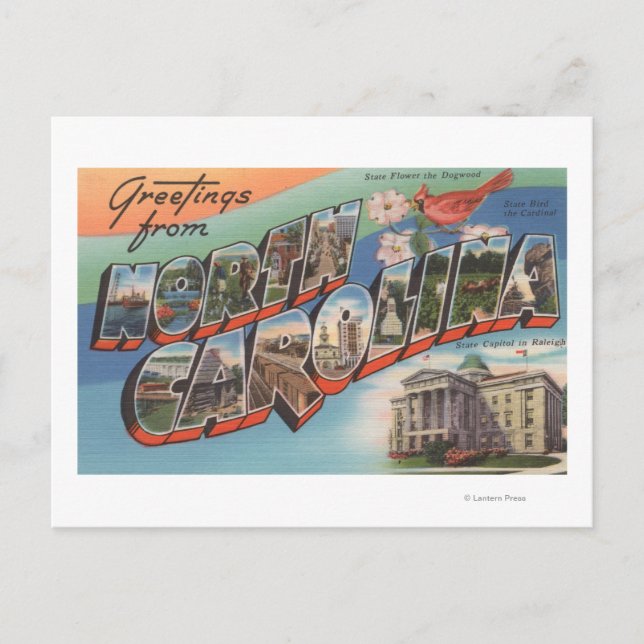 Carte Postale Caroline du Nord (Fleur d'État/Oiseau) (Devant)