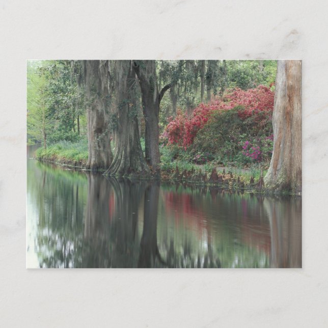 Carte Postale Caroline du Sud, Charleston (Devant)