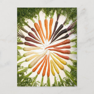 Carte Postale Carottes Motif de jardin coloré