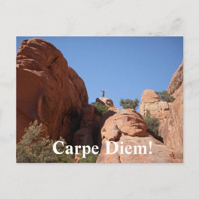 Carte Postale Carpe Diem ! (Devant)