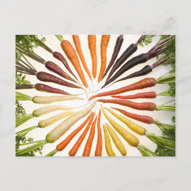 Carte Postale Carrot Color (Devant)