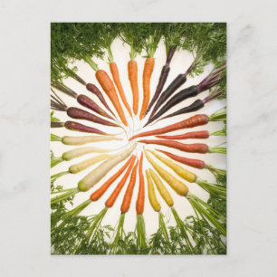 Carte Postale Carrot Color