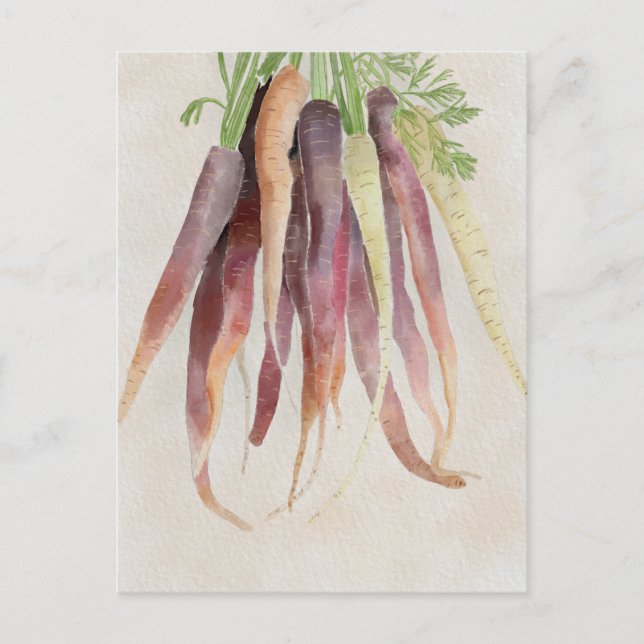 Carte Postale Carrots, 5x7 Post Card (Devant)