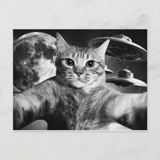 Carte Postale Cartão Postal Cat Space